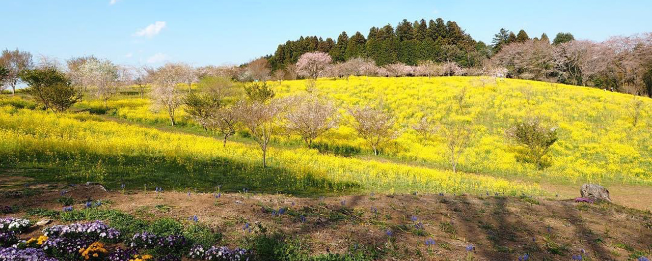 七井地区の具体策